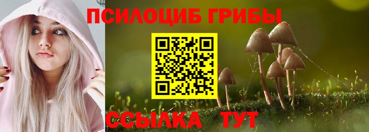 Галлюциногенные грибы Cubensis Владивосток